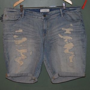 Distressed Bermuda Jean Shorts Torrid Size 24